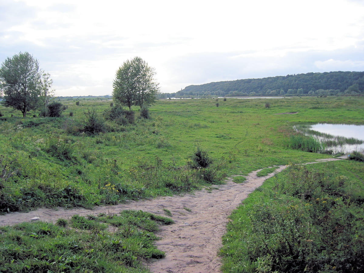 Opheusden - bekend van de Grebbeberg