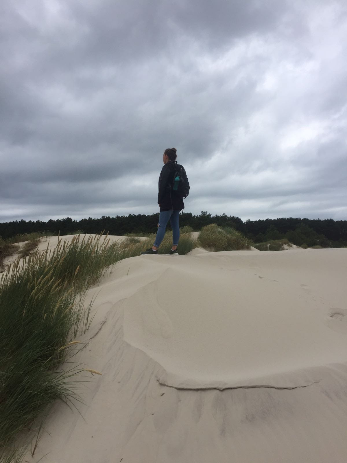 Sanne